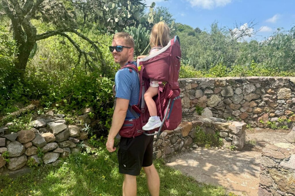 Stroller or Child Carrier: Everything You Need to Know Before You Buy