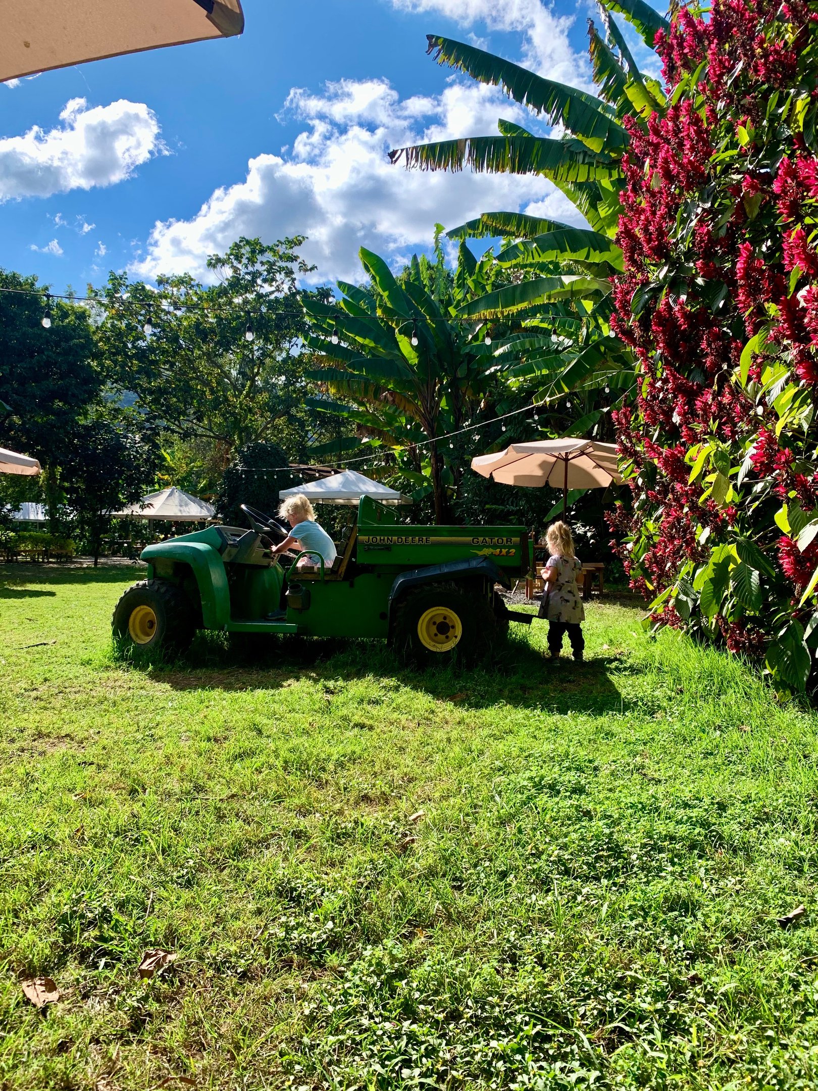girls playing on a tractor