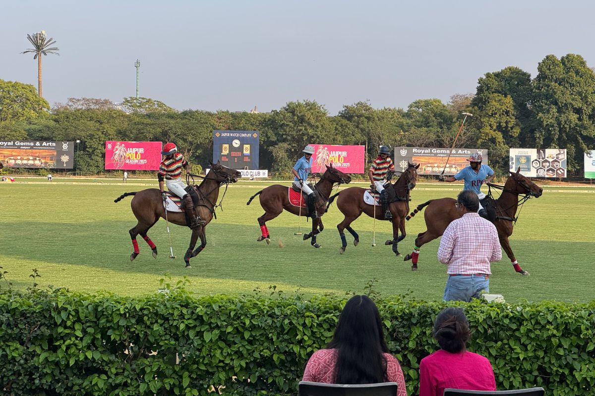 Polo Match Polo Match