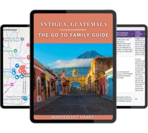 bundle of what you get with The Go To Family Guide