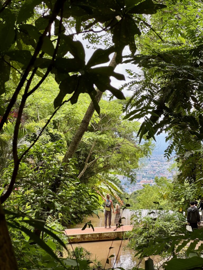 two people on a bridge with a view through forested trees