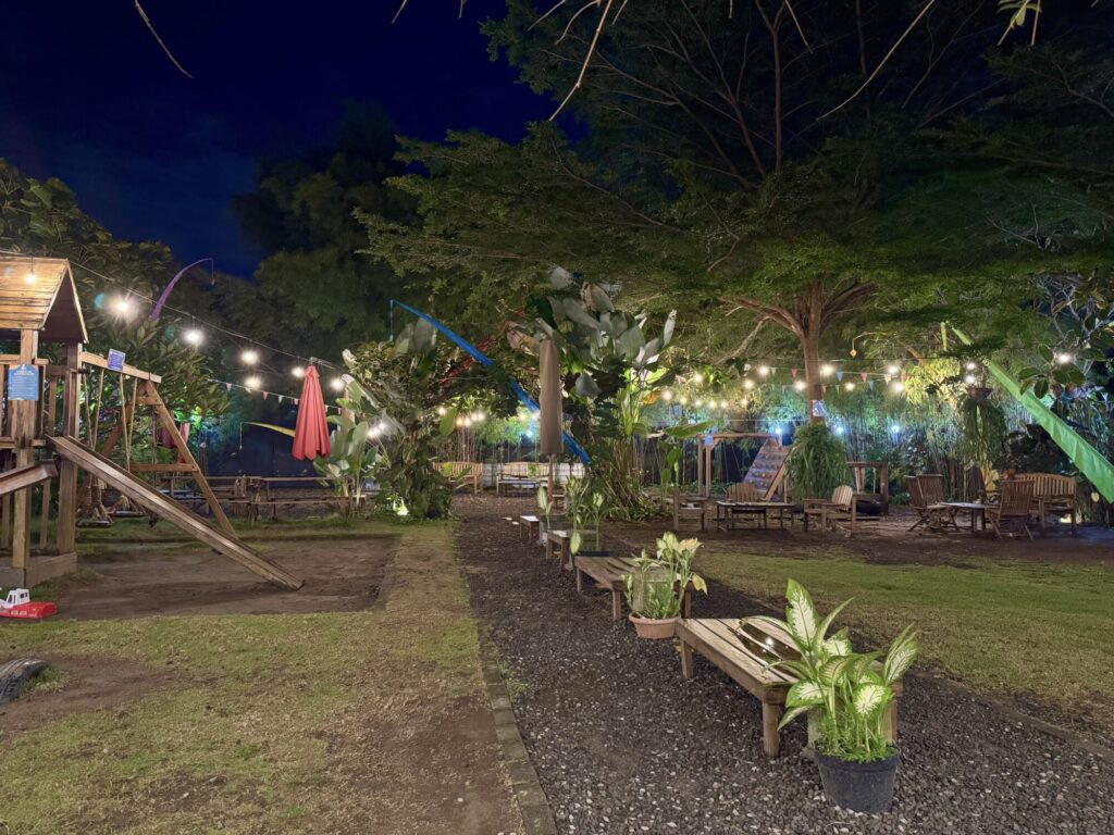 nighttime playground with trees and greenery