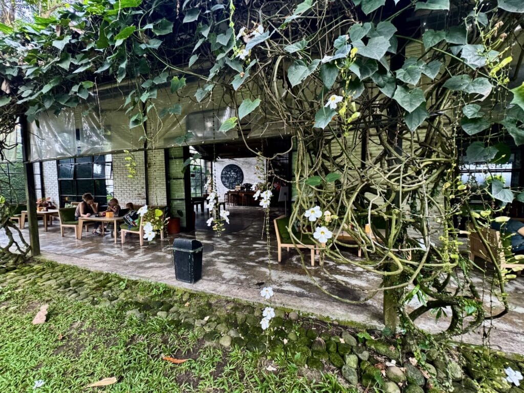 Family sitting at a table at an outside seating area