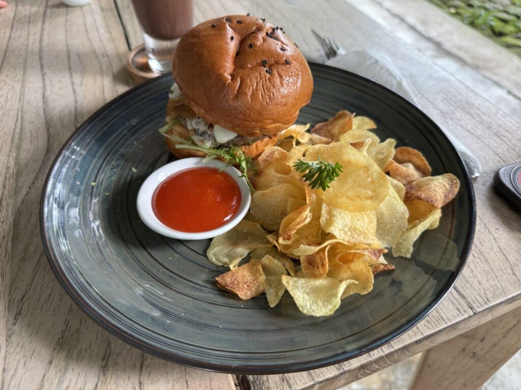 burger with potato chips