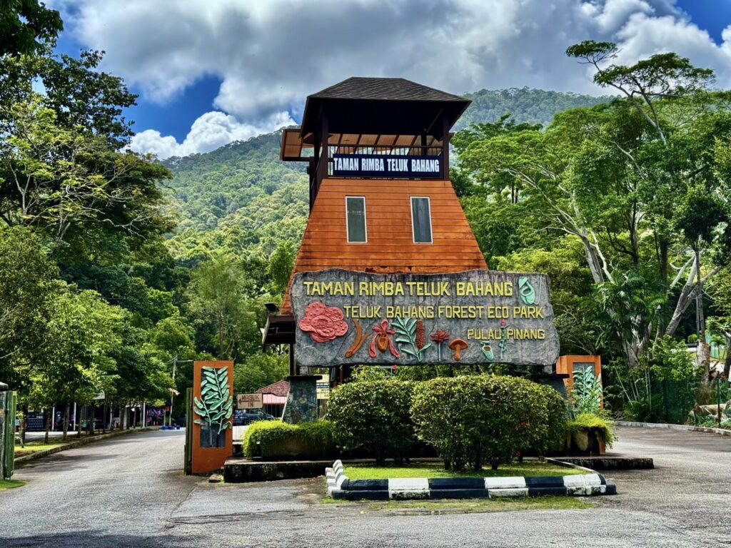 entrance to a forest eco park with jungle background