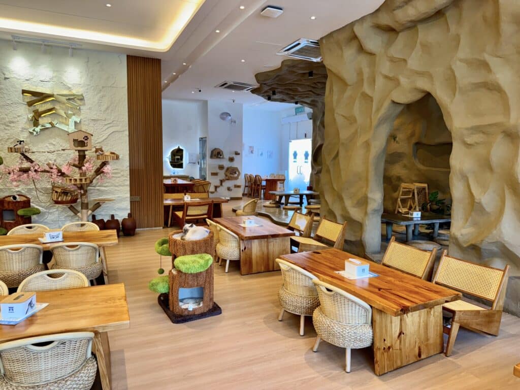 interior decoration of a cafe with a cave like feature and seating throughout