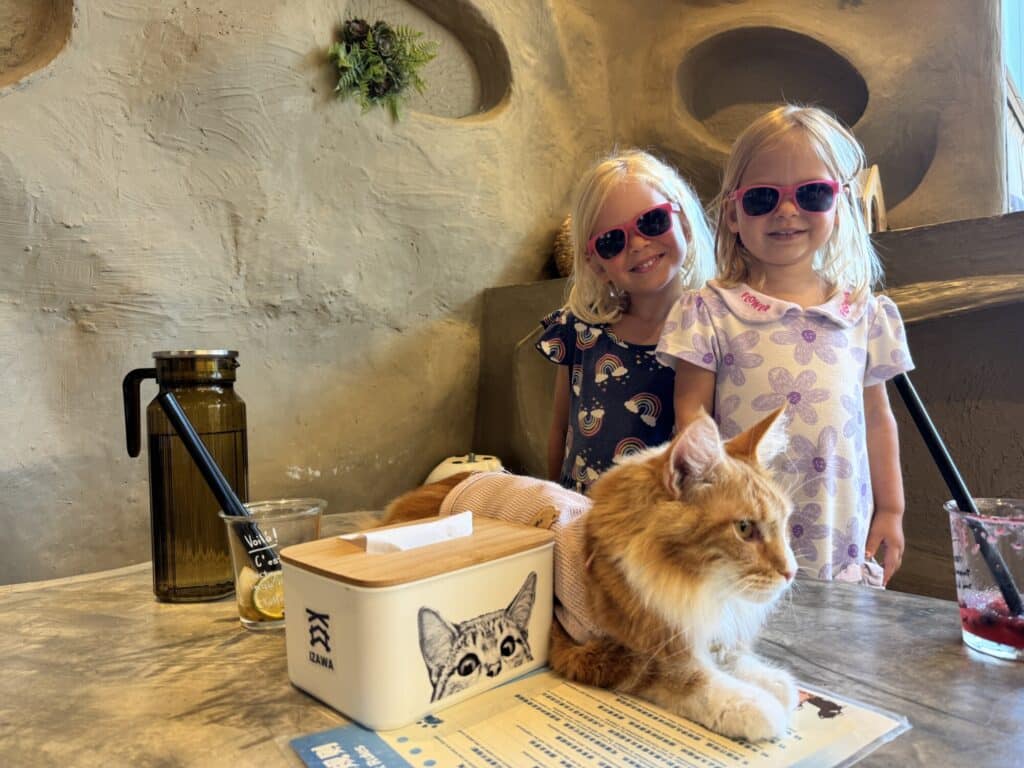 two girls standing at a table with a cat on a table at a cat cafe