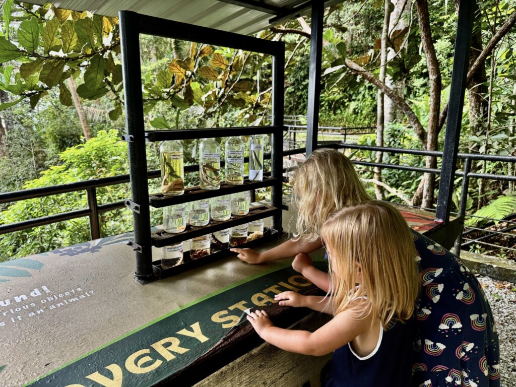 two girls looking at insects and small animals in preserved jars