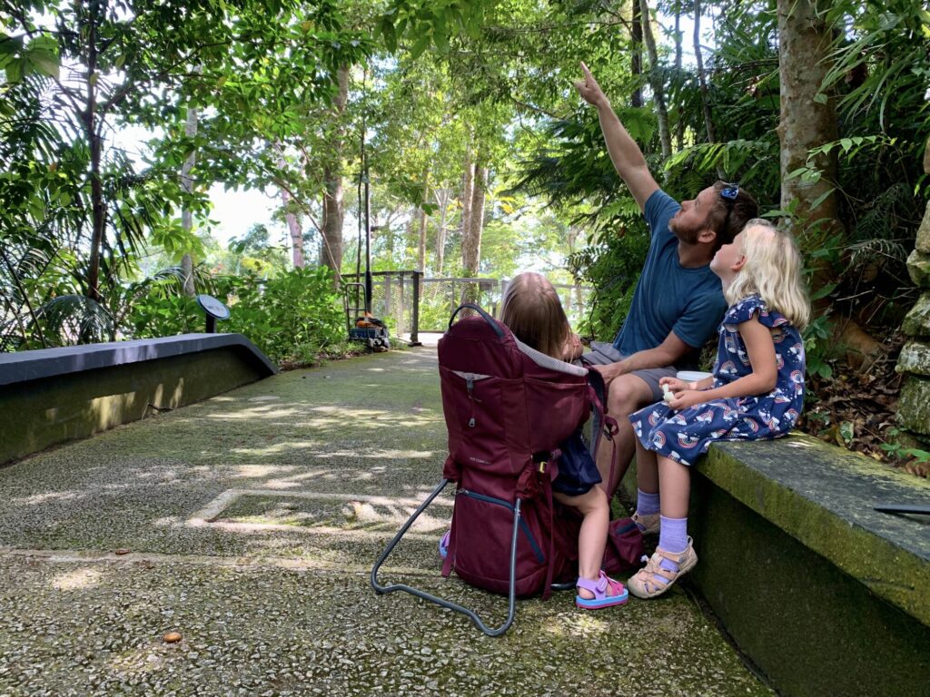 a person pointing up to a jungle canopy showing two girls something