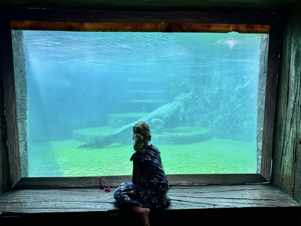 girl looking into a water tank exhibit at a zoo of a salt water crocodile
