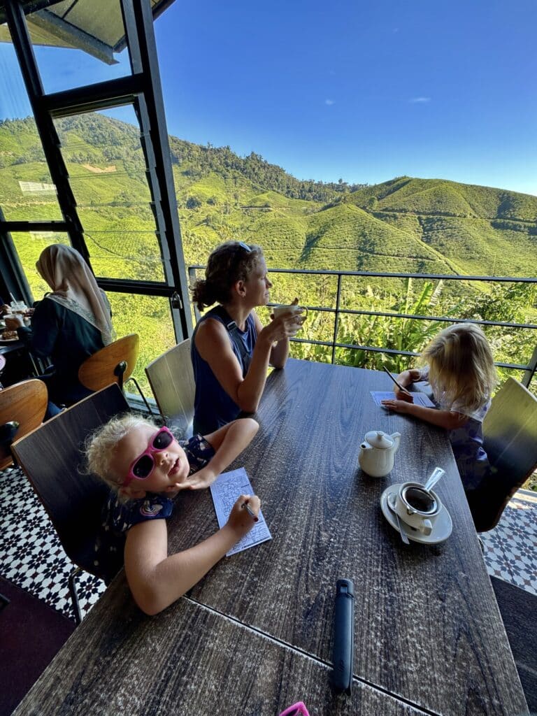 drinking tea looking at a tea plantation