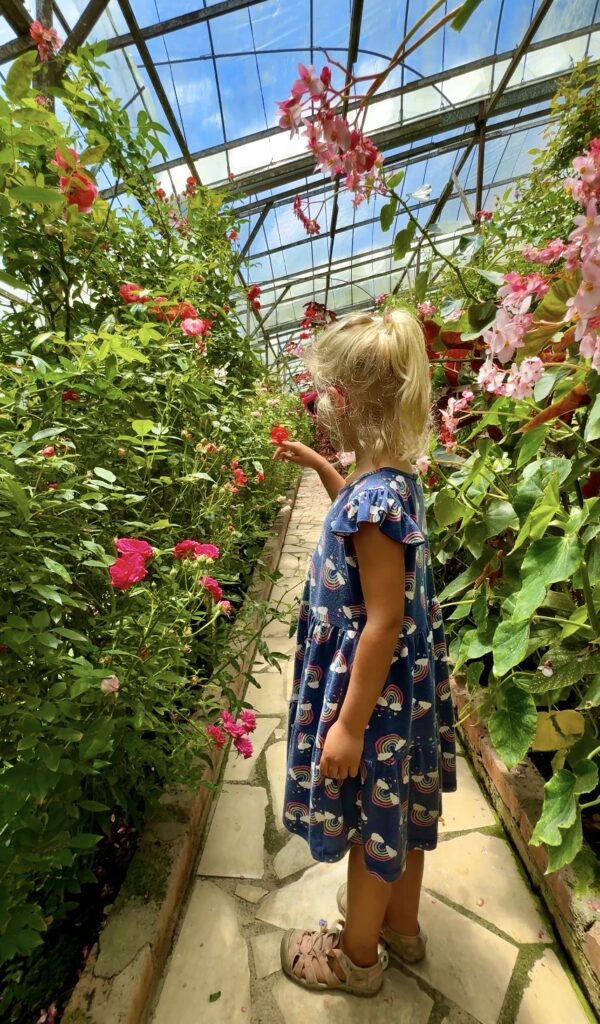 a girl in a row of flowers in a garden