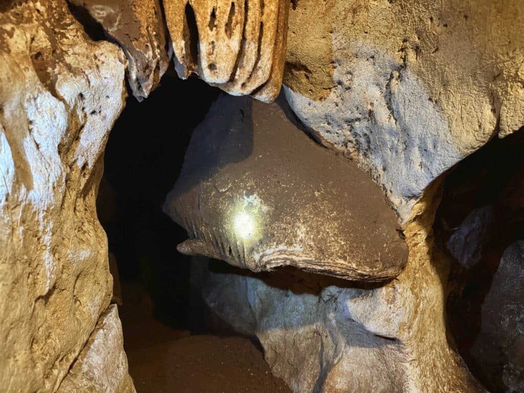 a rock formation that looks like a shark