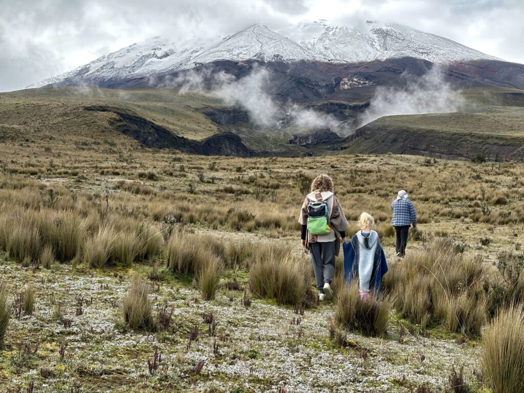 people walking in a field with a looming snow covered volcano in the background