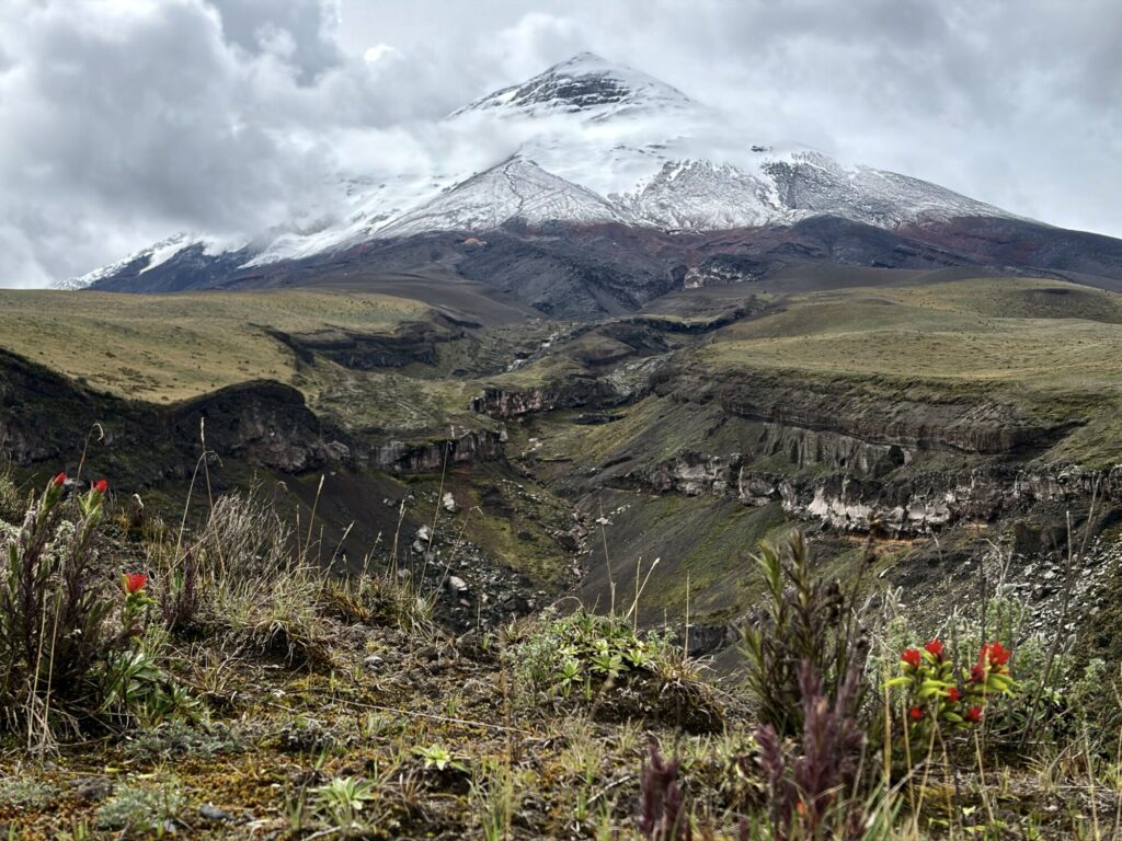 view of a snow covered volcano with a canyon in the midground