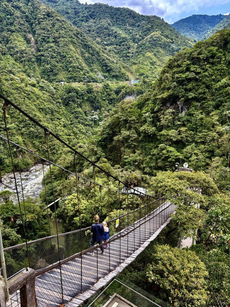 walking across a suspension bridge with a green jungle canyon in the background