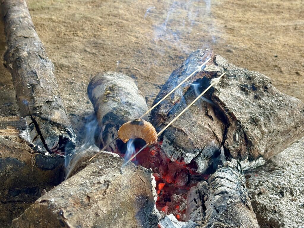 a grub being cooked over a fire