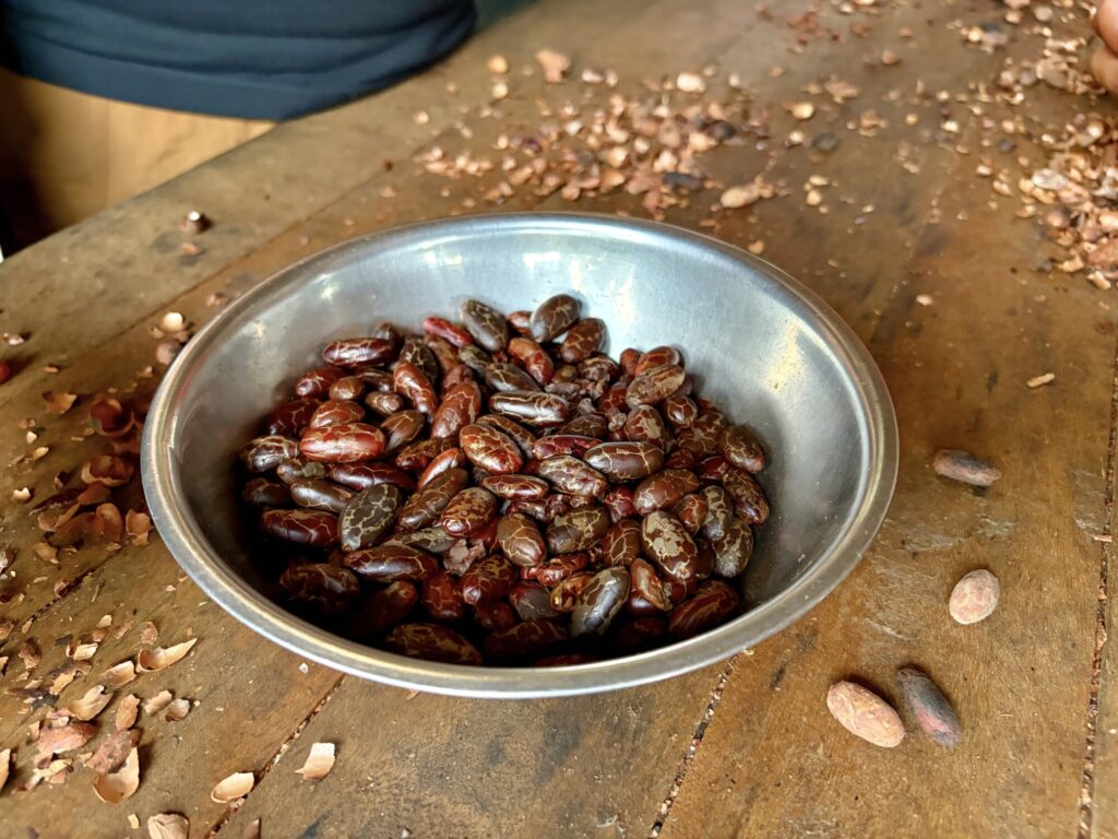cacao beans in a metal bowl