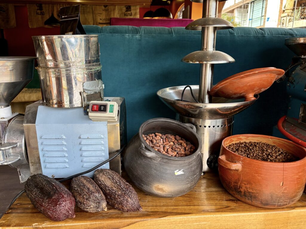 coffee beans, cacao pods and cacao fruit