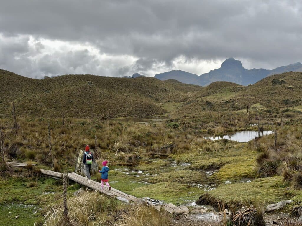two people walking on a boarded hiking trail in a national park