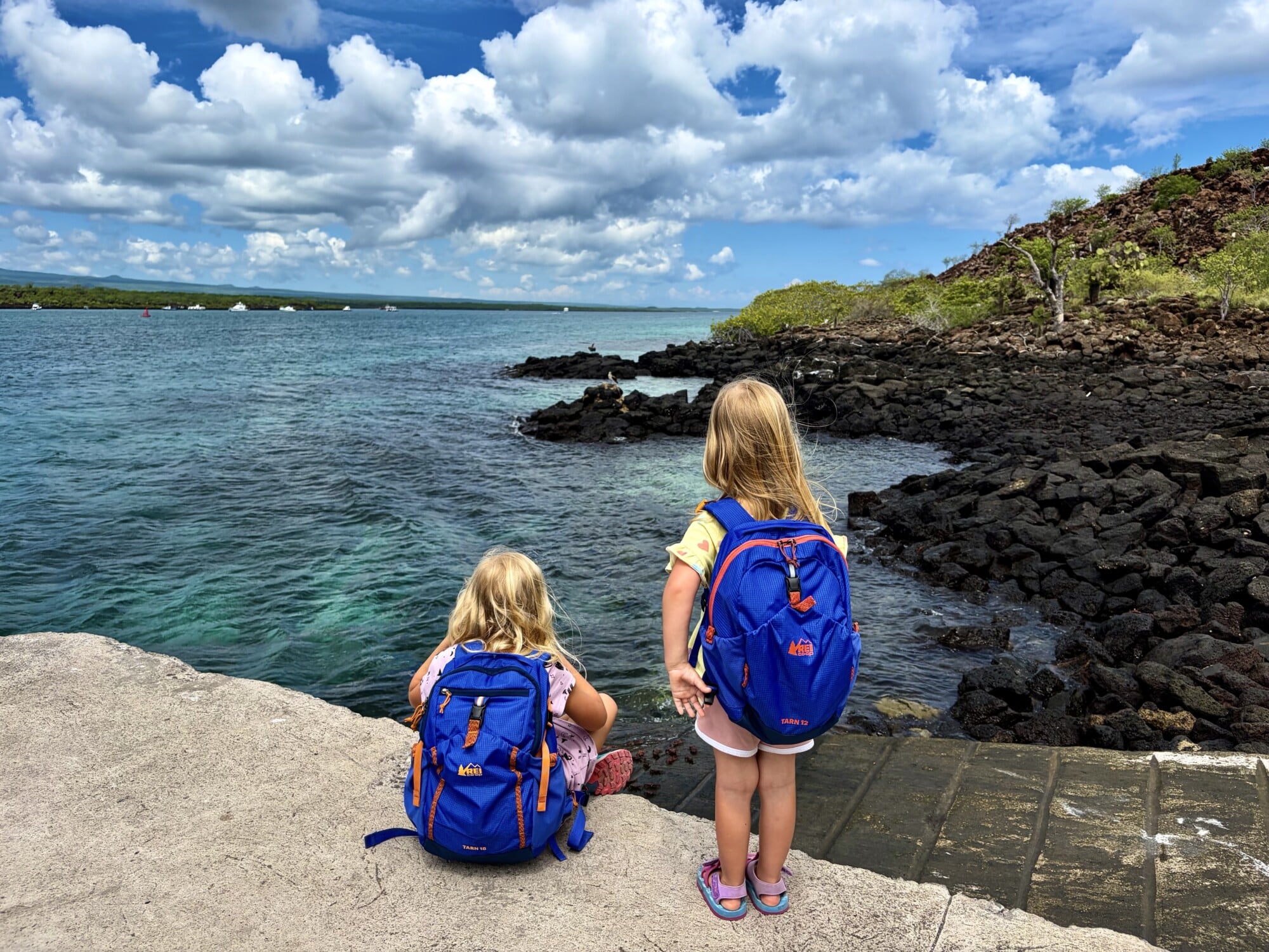 two girls with backpacks looking out at a body of water with rocky beach and clouds